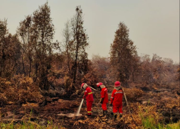 Cegah Karhutla, Guru Besar UGM Dorong 3 Strategi Penjagaan Hutan